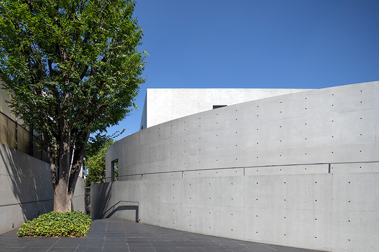 ���̎ʐ^���N���b�N���Ă�������